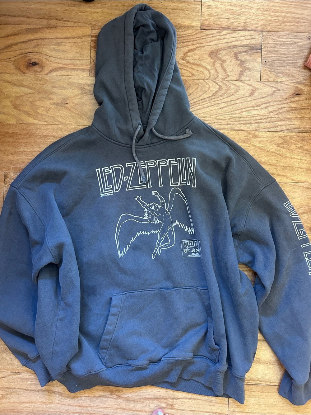 Hollister Led Zeppelin Graphic Pullover Hoodie in Faded Blue and Gray
